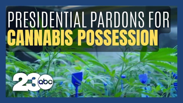 Biden pardons all those convicted of marijuana possession at the federal level