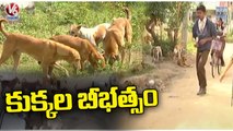 Nizamabad People In Panic After Street Dogs Attack _  Street Dogs Fear   _ V6 news