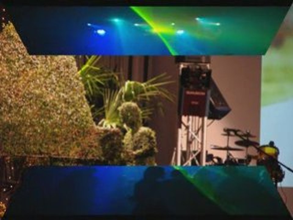 festi concept