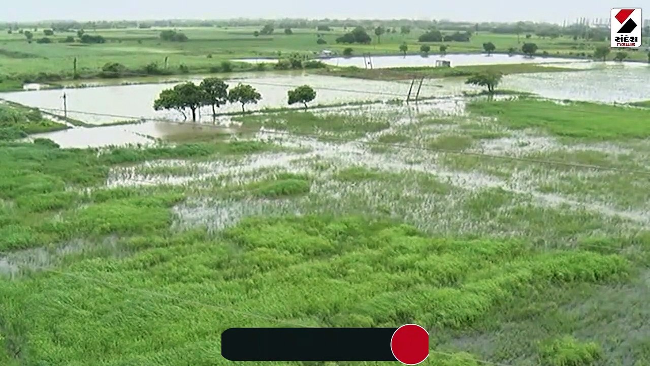 સુરતના વરાછા સરથાણા કાપોદ્રા જેવા વિસ્તારોમાં ઘૂંટણ સમા પાણી