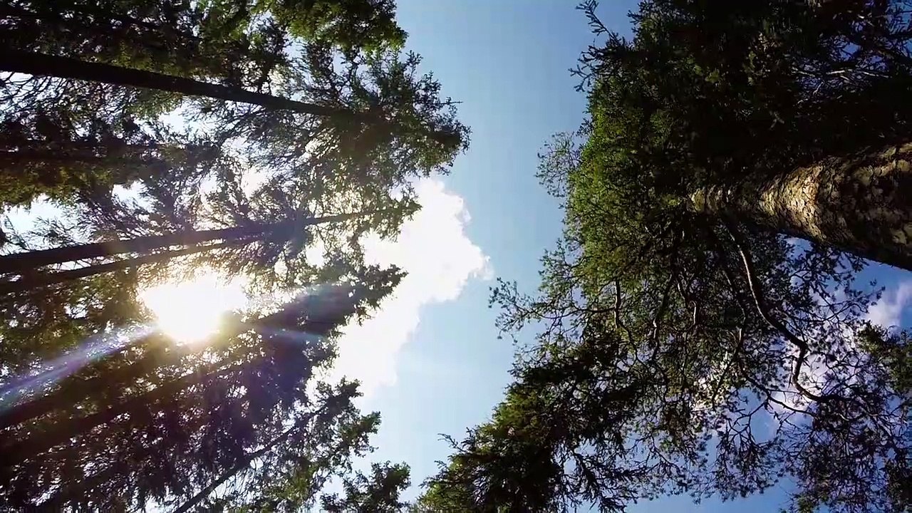 Russlands weite Wildnis Staffel 1 Folge 2 HD Deutsch