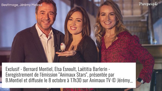 Elsa Esnoult rayonnante et... avec un oiseau sur la tête : apparition remarquée en vue pour l'actrice