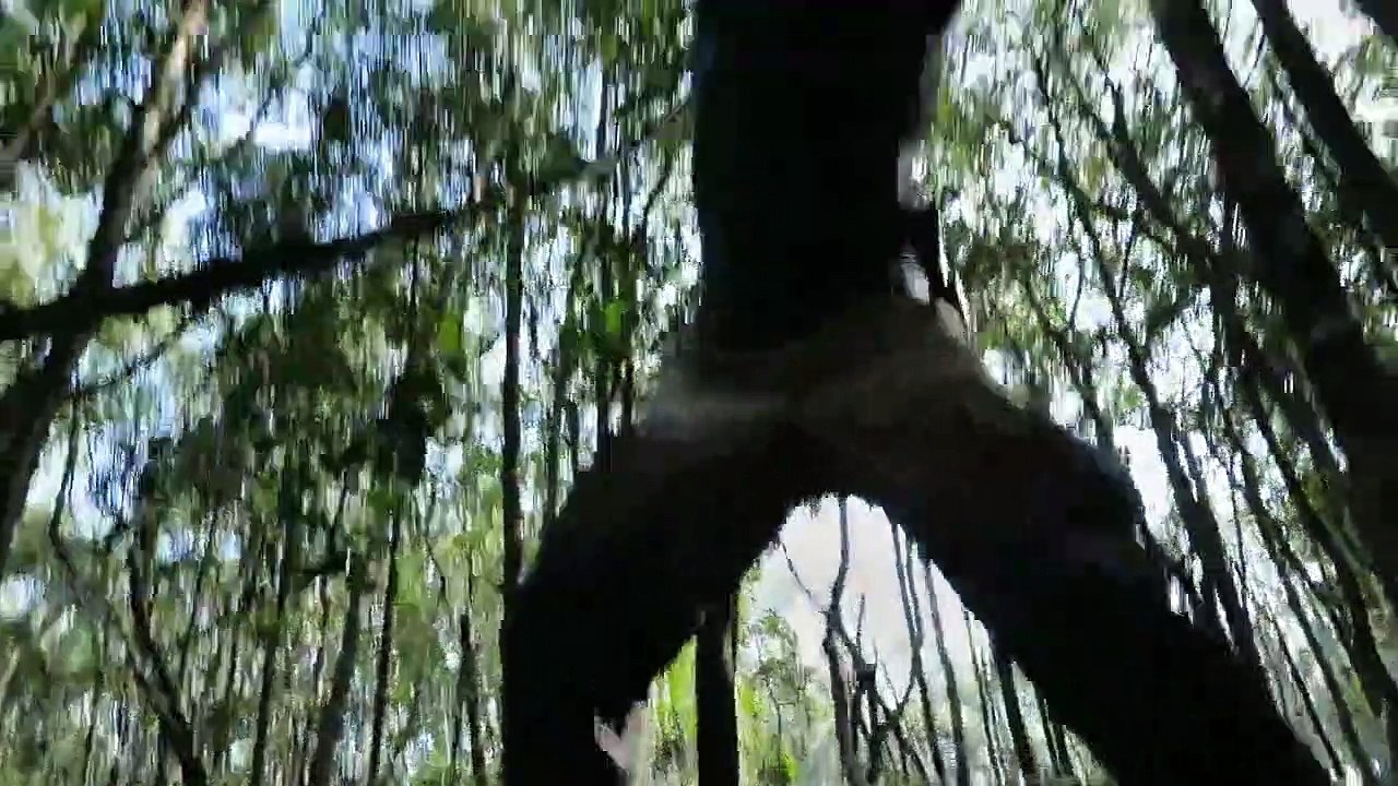 Ed Stafford - Das Survival Duell Staffel 1 Folge 1 HD Deutsch