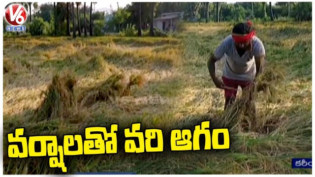 Farmers Facing Problems With Crops Damaged Due To Heavy Rains In Karimnagar _ V6 News