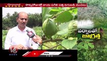 Ground Report _ Rains Impact On Cotton Farming & Paddy Crops _ Deputy Director Dr. Umareddy Tips