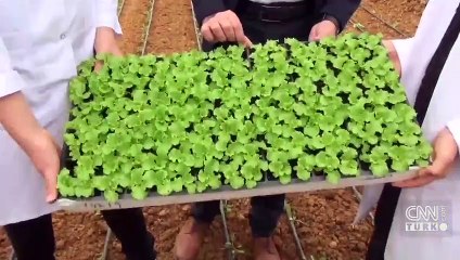 Tarım lisesinde nasıl eğitim alınıyor?