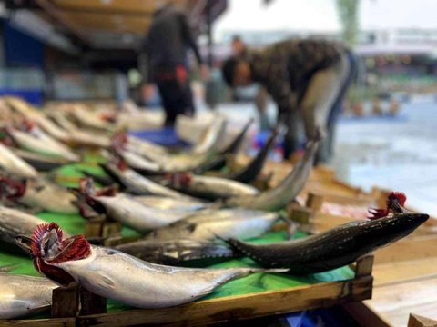 Tezgahlarda palamut bolluğu devam ediyor