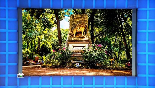 Своя игра (08.10.2022)