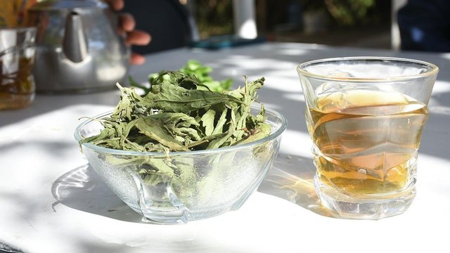 Şeker hastası eşine şifa arayan kadın, şeker otu yetiştiricisi oldu