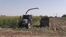 Gaziantepli çiftçiler, ÇKS işlemlerinin e-Devlet'ten yapılmasından memnun