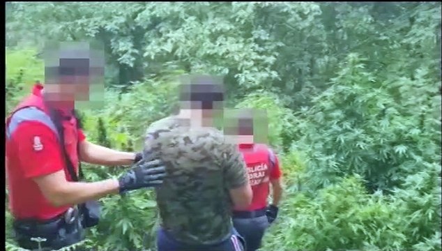 La Policía Foral encuentra en Cinco Villas un cultivo con 94 plantas de marihuana