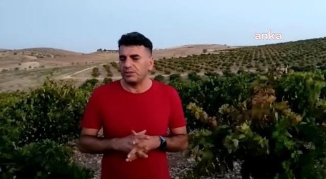 Elazığ yerel haberi | Elazığ Koruk Köy, Dambüyük, Esenkent Tarımsal Kalkınma Kooperatif Başkanı Gürkan Bektaş: Üzüm Alıcısı Firma, Ürün Fiyatı Belli Olmadan Üzüm Vermek...