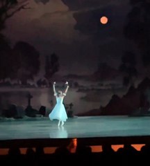 20221005 Giselle  misc