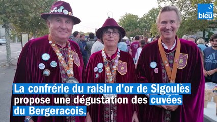 La 25e édition des vendanges nocturnes de Sigoulès-et-Flaugeac