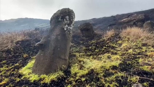 Chili: 80 statues de l'île de Pâques endommagées par un incendie