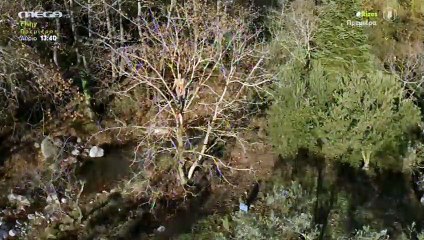 Ρίζες: Ο Ευθυμιάδης έκανε πρεμιέρα και αποκάλυψε γιατί άλλαξε τον τρόπο ζωής του