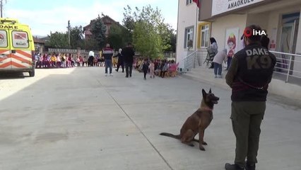 Miniklere hayvan sevgisini eğitimli köpekler verdi