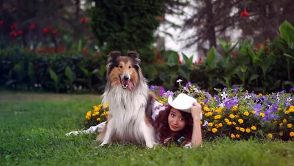 The 10 Best Dogs To Be Disciplined