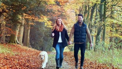 THE 10 SCOTTISH DOG BREEDS