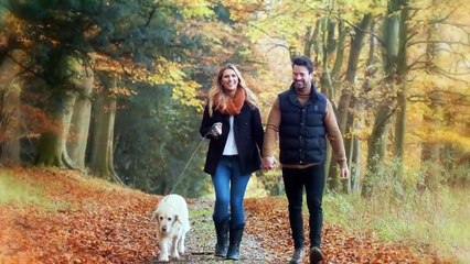 The Top 10 European Dog Breeds