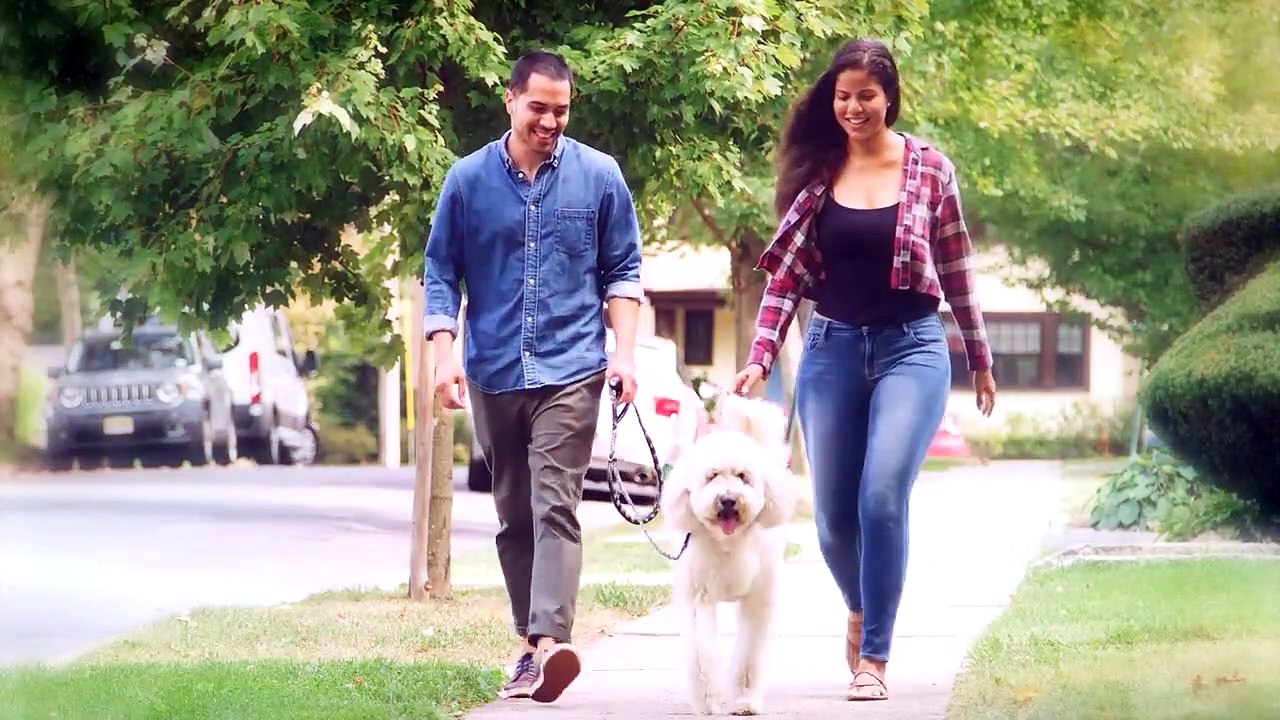 Top 10 Small Audacious Dog Breeds That Don’t Want To Be Lap Dogs