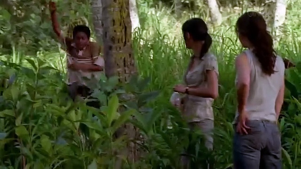 Lost Part 22 Explained In Hindi