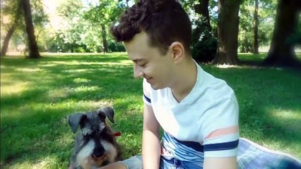 These Are 10 Most Talkative Dog Breeds