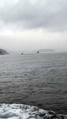 Giant Pod of Pacific White-Sided Dolphins Play Around Boat