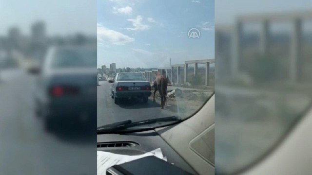 Atı otomobilin arkasına bağlayıp koşturdular