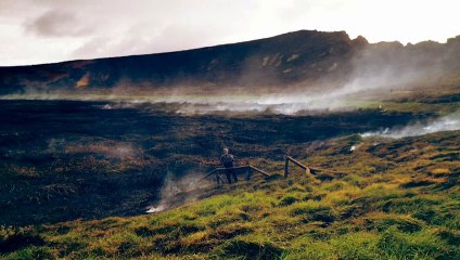 Easter Island ‘Moai’ statues face irreparable damage after wildfire