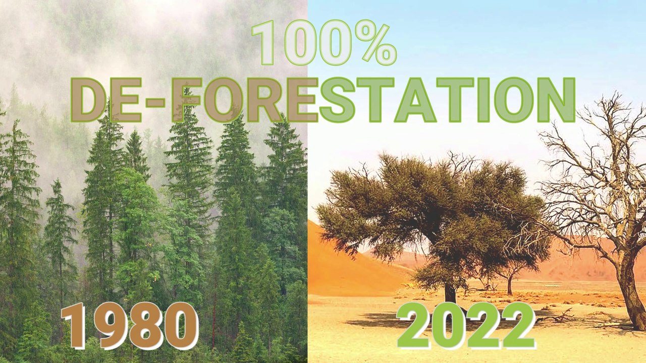 Why deforestation is not an issue ? | Rajnish Kumar | Hindi | deforestation percentage theory and human behaviour | how 100% trees always exist | reason of deforestation | deforestation explained in hindi