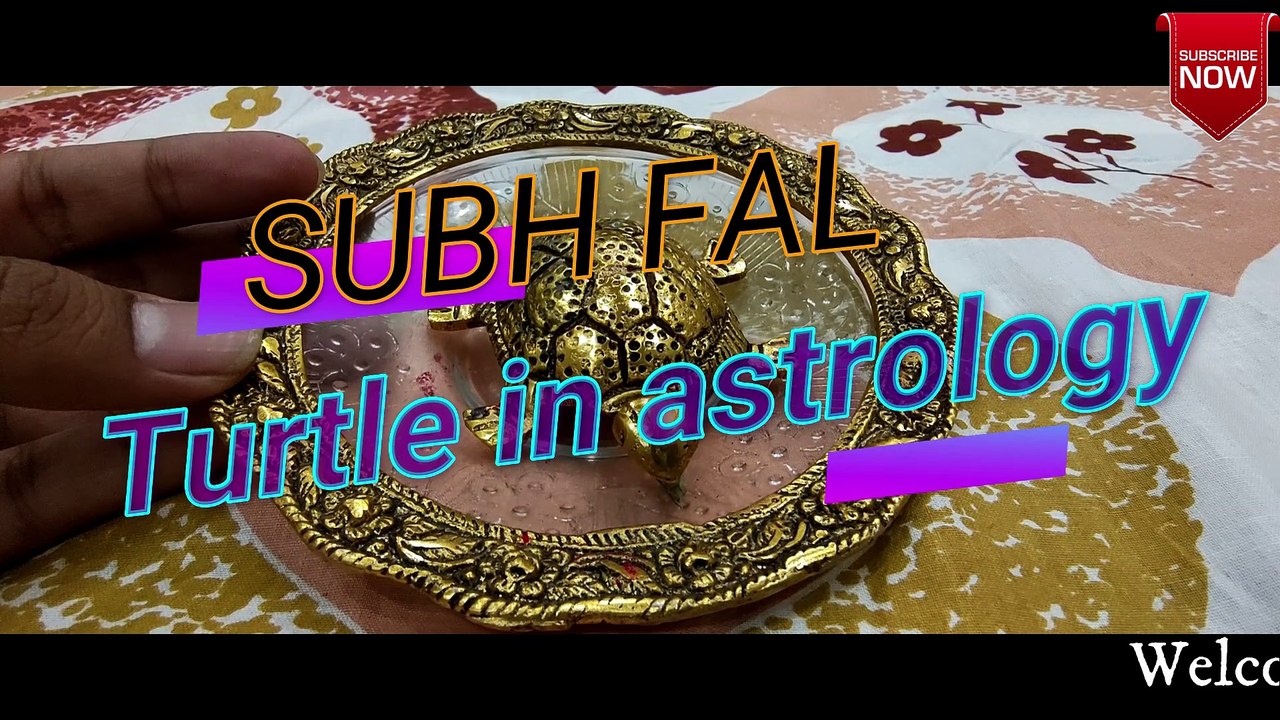 turtle benefits at home  in english | Home Vastu: Turtle/ Tortoise Caring Tips and Vastu Shastra | Bring good luck | English Video