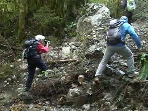 Boucle des Antonins - La Diat - St Pierre de Chartreuse 38380