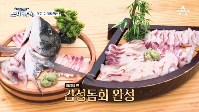 ★고니 타임★ 윤기가 흐르는 감성돔 회를 뜨는 태곤