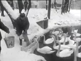 Migawki z przeszłości, Boże Narodzenie – Zima w Łazienkach czyli wierne łabędzie (1969 r.)