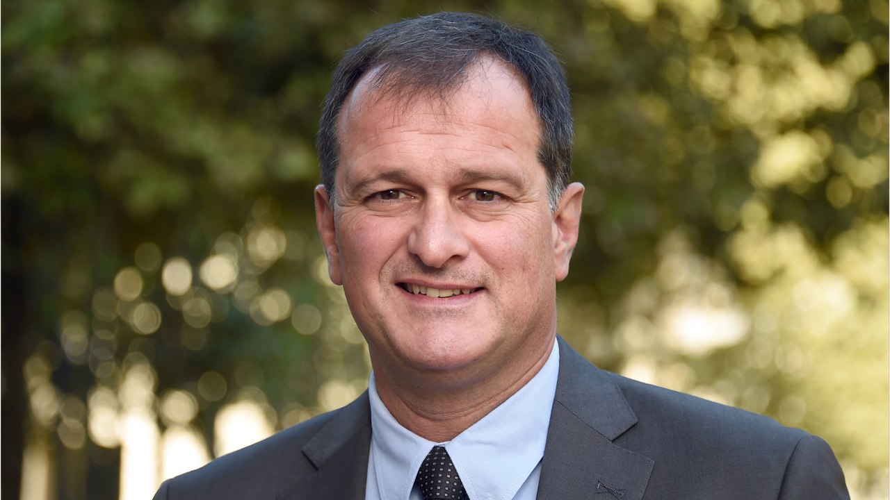 GALA VIDEO - "Pas rationnel", "pas assez bête", "Loulou la purge"… Le RN ne croit pas en Louis Aliot