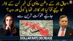 What is the mystery behind the fall in dollar rate? Shaukat Tarin explains
