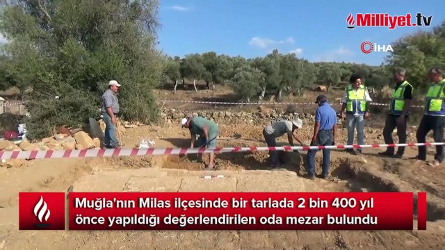 Tarlada heyecanlandıran keşif! 'İlk kez burada çıktı'