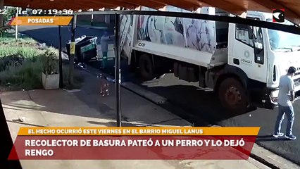 Recolector de basura pateó a un perro y lo dejó rengo