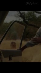 Is Beast 2022 based on a true story? -entertainment -viral