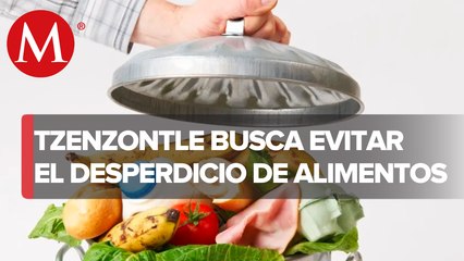 Tzentzontle, la empresa que busca disminuir el desperdicio de alimentos