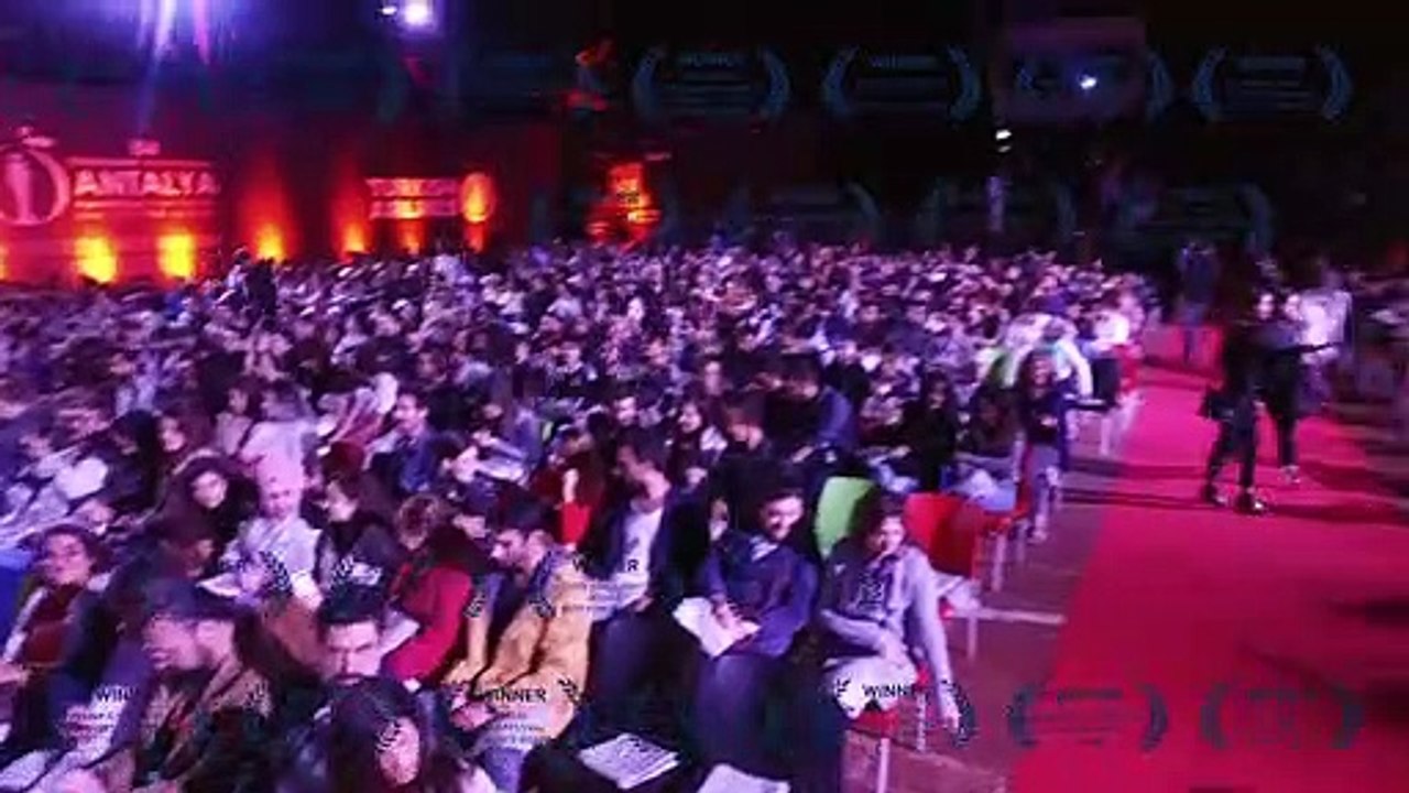 Loving Vincent The Impossible Dream Bandeannonce (EN) Vidéo Dailymotion