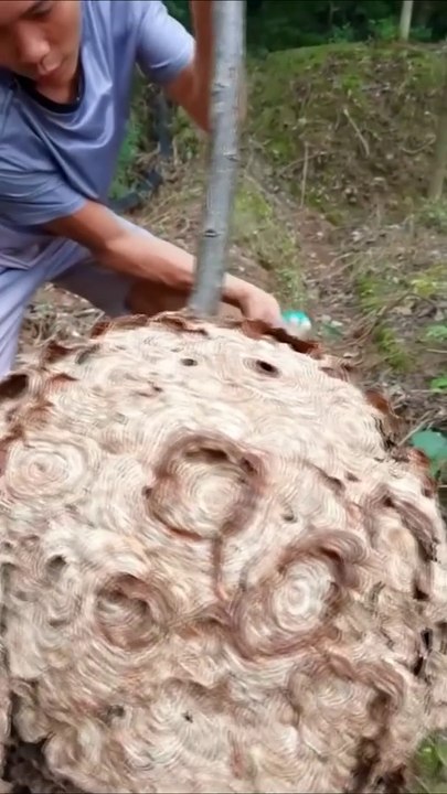 Work smart not hard