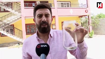 Van'da bir evi akrepler bastı