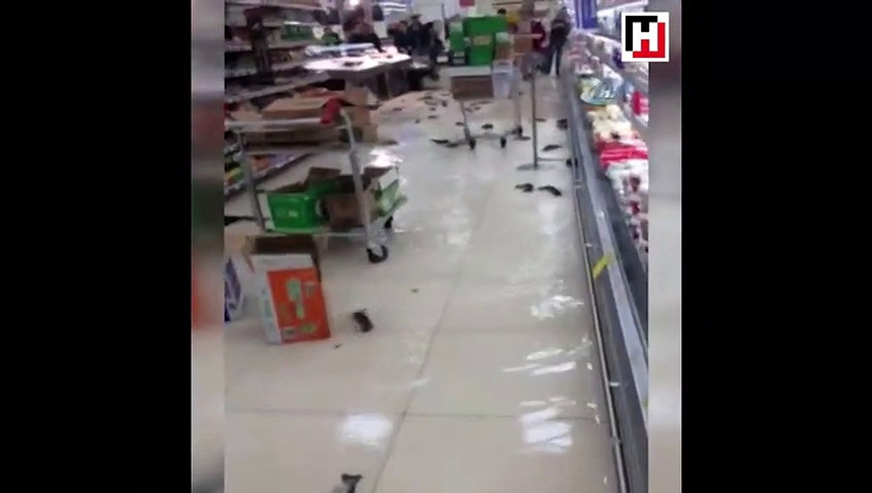 Akvaryumun camı kırılınca balıklar ortaya saçıldı!