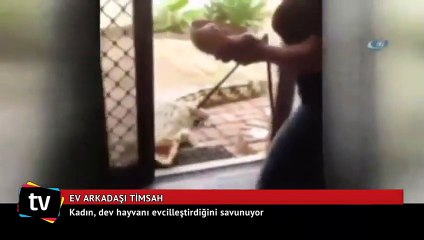 Ev arkadaşı bir timsah