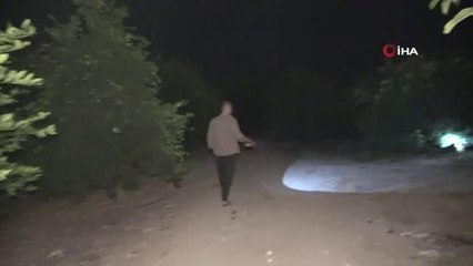 Limon bahçesinde gece gündüz hırsızlık nöbeti