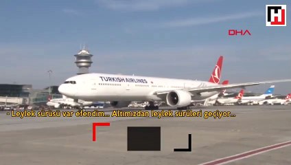 Atatürk Havalimanı'nda leylek alarmı