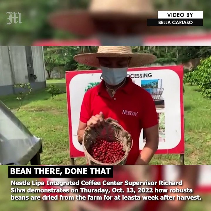 Bean there, done that video Dailymotion