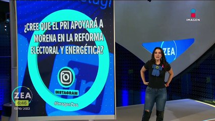 Perrito muerde brazo a ladrón y familia exige indemnización